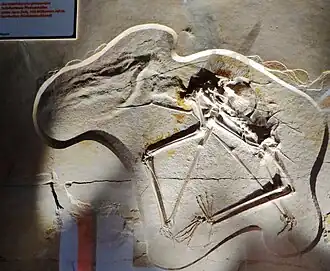 Description de cette image, également commentée ci-après