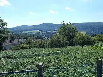 Bakonyjákó