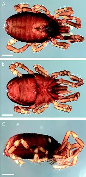 Description de cette image, également commentée ci-après