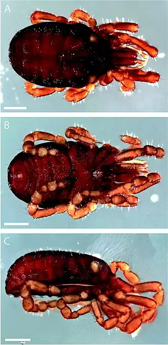 Description de cette image, également commentée ci-après