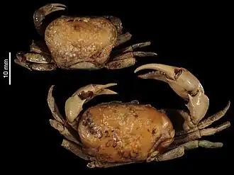 Description de cette image, également commentée ci-après