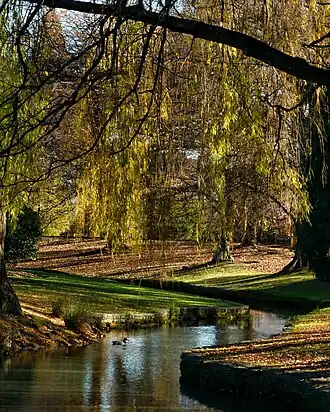 Mayfield (Marlborough)