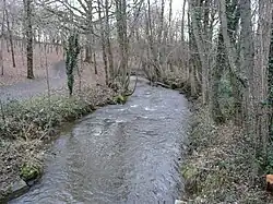 L'Auzette à Limoges dans le parc du Bas-Fargeas