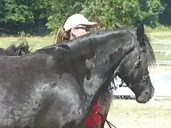 Avant-main, Bouan 2023