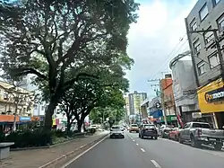 L'avenue du Brésil.