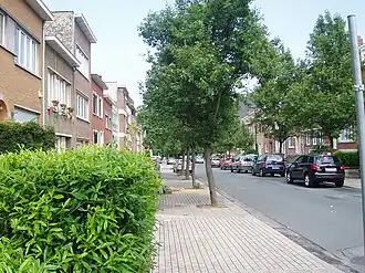 Image illustrative de l’article Avenue Jolé