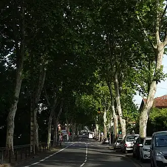 Image illustrative de l’article Avenue de Castres
