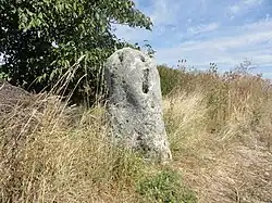 Menhir de Haute-Borne