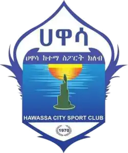 Logo du Awassa City