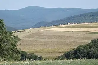Pest (comitat)