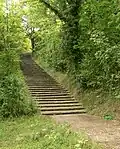 Photographie récente en couleurs d'un large escalier montant dans la forêt.