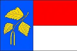 Drapeau de Březnice