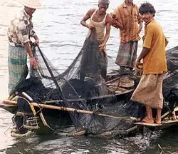 Pêcheurs et leurs filets au Bangladesh