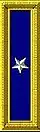 Brigadier general