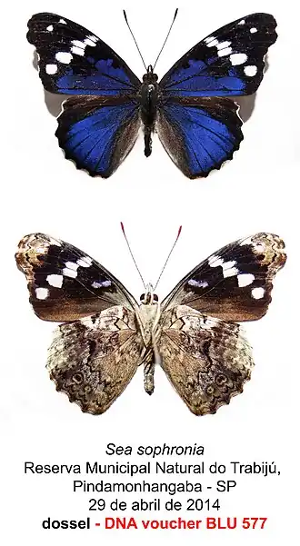 Description de cette image, également commentée ci-après