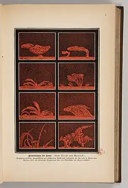 Image en rouge et marron foncé de différents types de protubérances solaires : des formes nuageuses, en fumée etc.