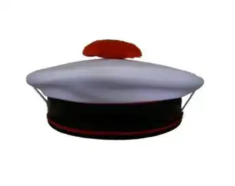 Un bachi décoratif sans signe distinctif.