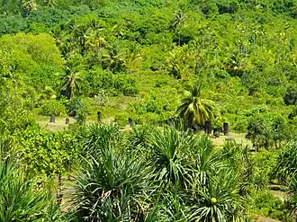 Vue sur les monolithes de basalte de Badrulchau