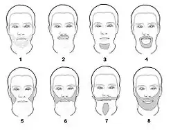 Noms de plusieurs coupes classiques de barbe. 1 : la barbe de trois jours, 2 : la moustache, 3 : la barbiche, 4 : le bouc, 5 : les favoris, 6 : la Souvarov, 7 : l'impériale, 8 : barbe complète.