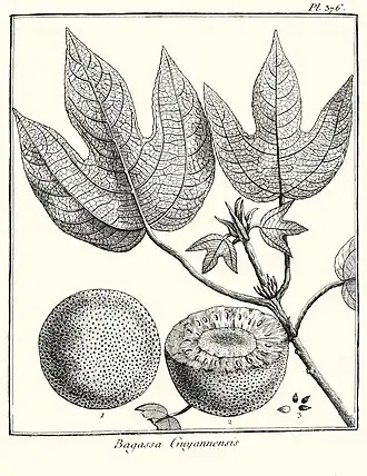 Description de cette image, également commentée ci-après