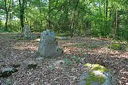 Image illustrative de l’article Menhirs de Tréfoux