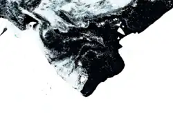 Image Sentinel-2 de la Baie d'Atka (14 février 2019).