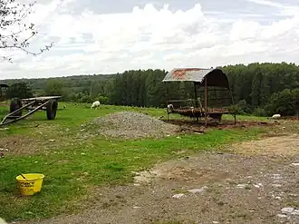 Image illustrative de l’article Forêt de Trélon
