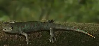 Description de cette image, également commentée ci-après