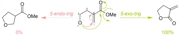 Réaction du 4-hydroxy-2-méthylènebutanoate de méthyle selon les règles de Baldwin