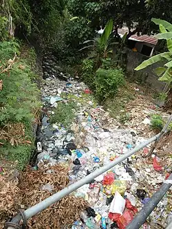 Rivière tropicale submergée de déchets plastique.