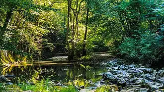 Ballade « Les Pieds Dans Le Ruisseau ».
