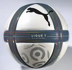 Ballon officiel 2010-2011.