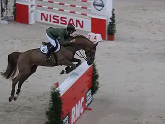 Cavalier sur cheval roux sautant