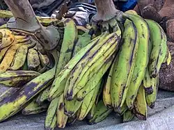 Banane plantain