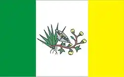 Picuí