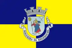 Drapeau de Nogueira da Regedoura