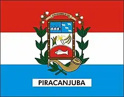 Piracanjuba