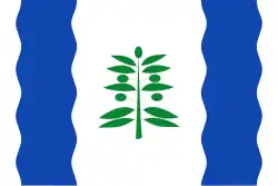 Drapeau de Cinco Olivas