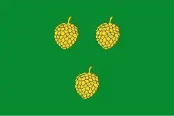 Drapeau de Pinell de Solsonès