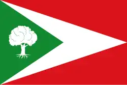 Drapeau de Tosantos