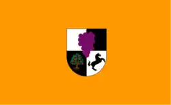 Drapeau de Villa Alegreville et commune du Chili