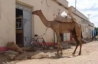 Maisons dans la ville érythréenne de Barentu.