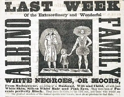 Détail d'affiche publicitaire avec gravure sur bois représentant une famille d'albinos.