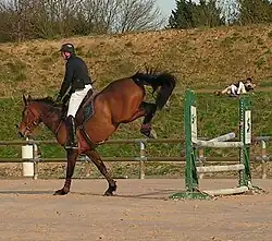 Une barre tombée vaudra 4&nbsp;points.