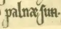 N barré dans palnæ sun dans le manuscrit K 1241 Corpus diplomatum regni Danici no&nbsp;27.