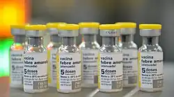Image illustrative de l’article Vaccin contre la fièvre jaune