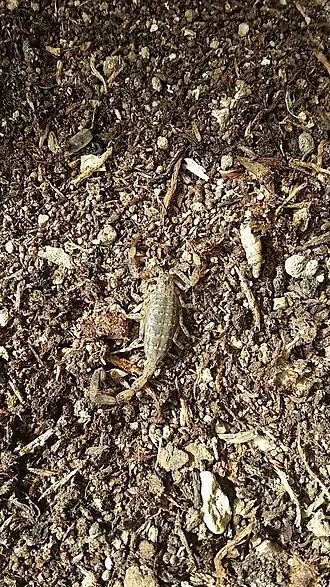 Description de cette image, également commentée ci-après