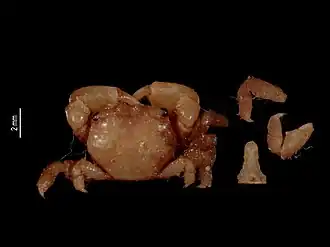 Description de cette image, également commentée ci-après