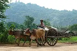 Province de Battambang