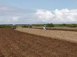 Agriculteurs travaillant dans les champs au Somaliland